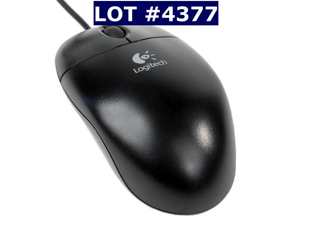 4377.jpg